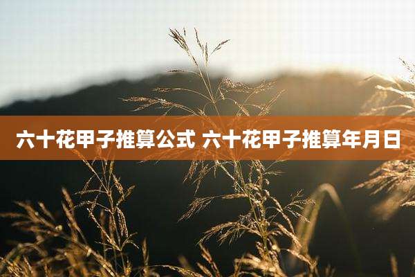 六十花甲子推算公式 六十花甲子推算年月日