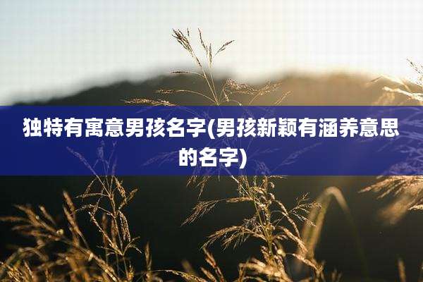 独特有寓意男孩名字(男孩新颖有涵养意思的名字)
