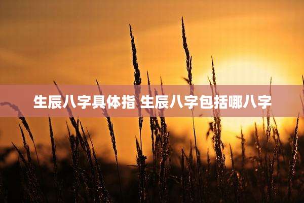 生辰八字具体指 生辰八字包括哪八字