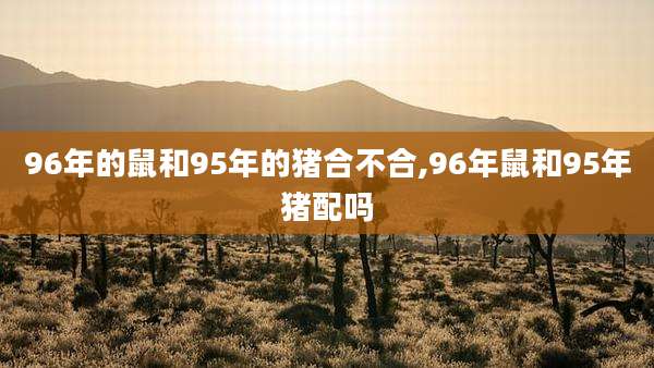 96年的鼠和95年的猪合不合,96年鼠和95年猪配吗
