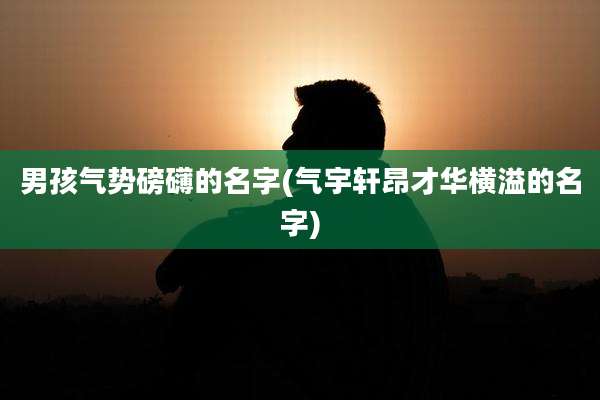 男孩气势磅礴的名字(气宇轩昂才华横溢的名字)