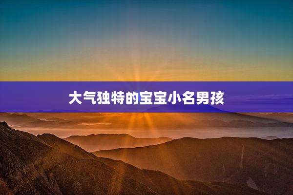 大气独特的宝宝小名男孩