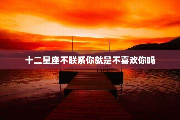 十二星座不联系你就是不喜欢你吗