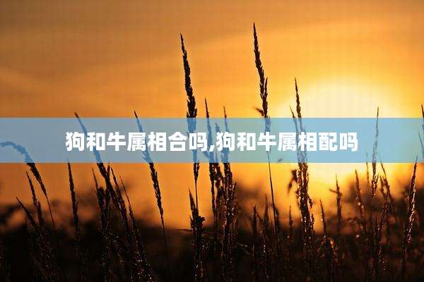 狗和牛属相合吗,狗和牛属相配吗