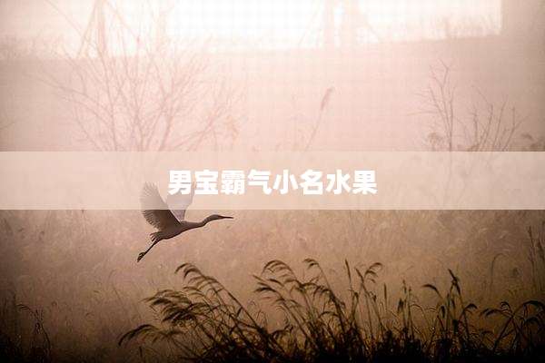 男宝霸气小名水果