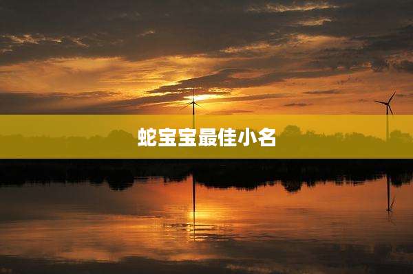 蛇宝宝最佳小名