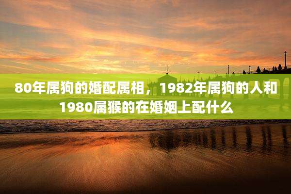80年属狗的婚配属相，1982年属狗的人和1980属猴的在婚姻上配什么