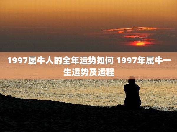 1997属牛人的全年运势如何 1997年属牛一生运势及运程