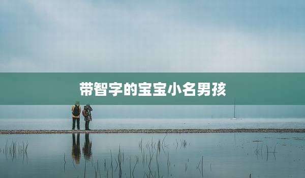 带智字的宝宝小名男孩