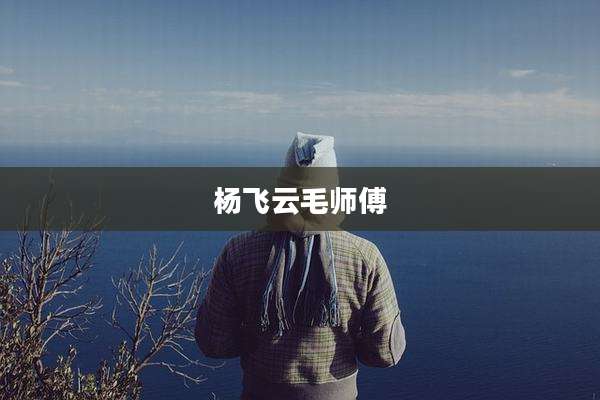 杨飞云毛师傅
