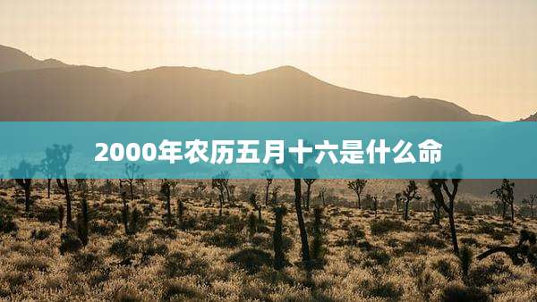 2000年农历五月十六是什么命