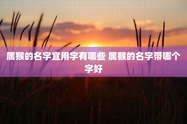 属猴的名字宜用字有哪些 属猴的名字带哪个字好