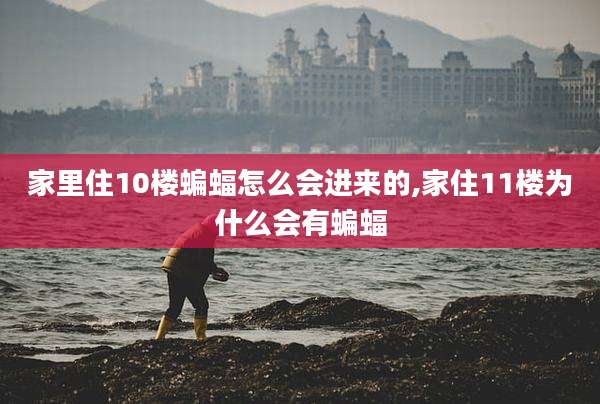 家里住10楼蝙蝠怎么会进来的,家住11楼为什么会有蝙蝠