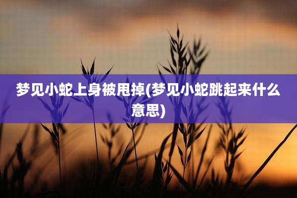 梦见小蛇上身被甩掉(梦见小蛇跳起来什么意思)