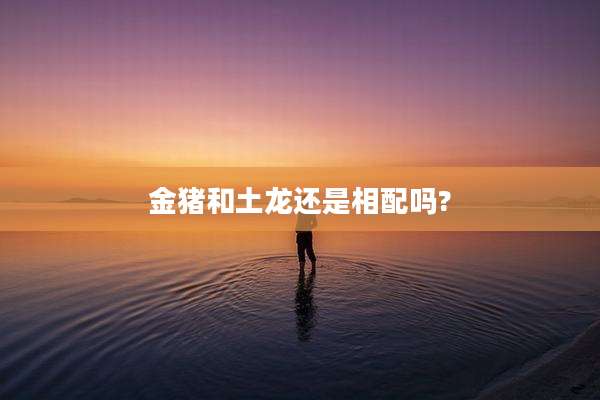 金猪和土龙还是相配吗?