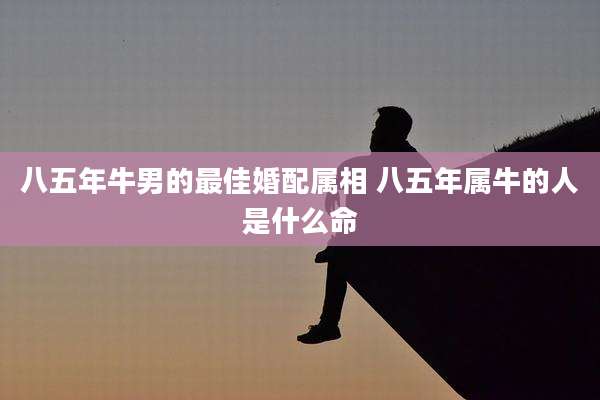 八五年牛男的最佳婚配属相 八五年属牛的人是什么命