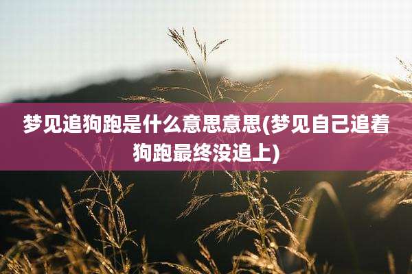 梦见追狗跑是什么意思意思(梦见自己追着狗跑最终没追上)