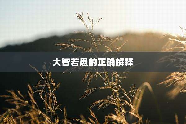 大智若愚的正确解释