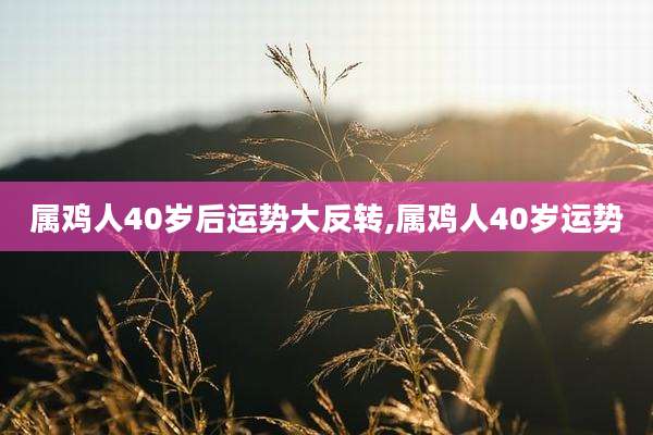 属鸡人40岁后运势大反转,属鸡人40岁运势