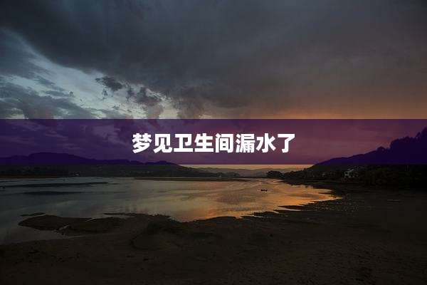 梦见卫生间漏水了