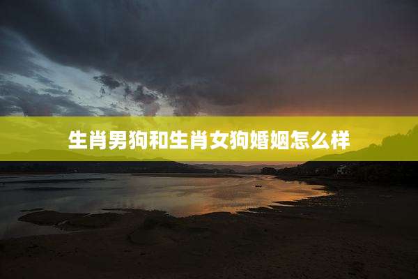 生肖男狗和生肖女狗婚姻怎么样