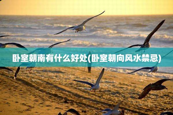卧室朝南有什么好处(卧室朝向风水禁忌)