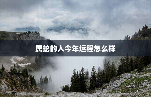 属蛇的人今年运程怎么样