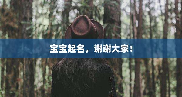 宝宝起名,谢谢大家!