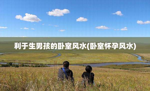 利于生男孩的卧室风水(卧室怀孕风水)