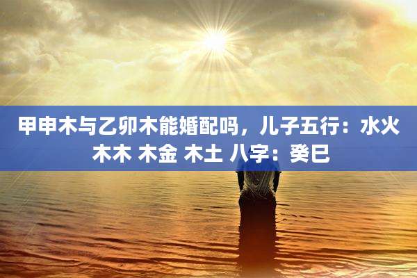 甲申木与乙卯木能婚配吗，儿子五行：水火 木木 木金 木土 八字：癸巳