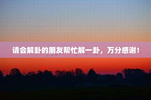请会解卦的朋友帮忙解一卦,万分感谢!