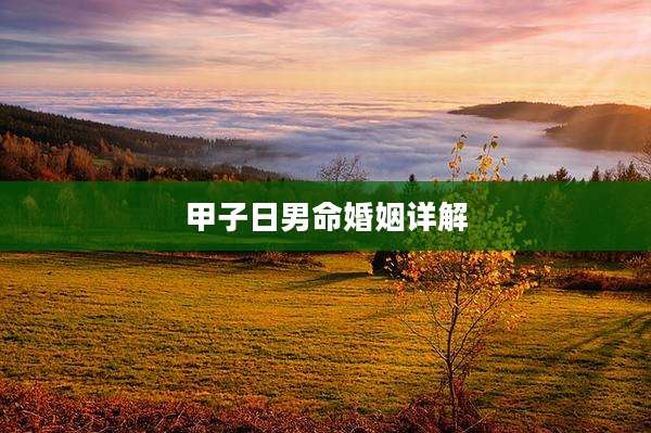 甲子日男命婚姻详解