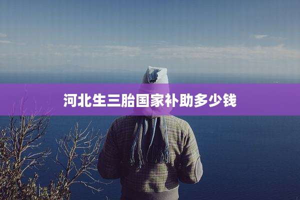 河北生三胎国家补助多少钱