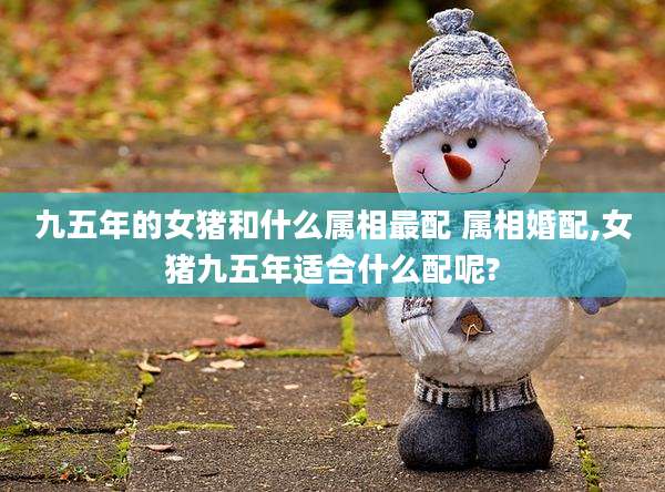 九五年的女猪和什么属相最配 属相婚配,女猪九五年适合什么配呢?