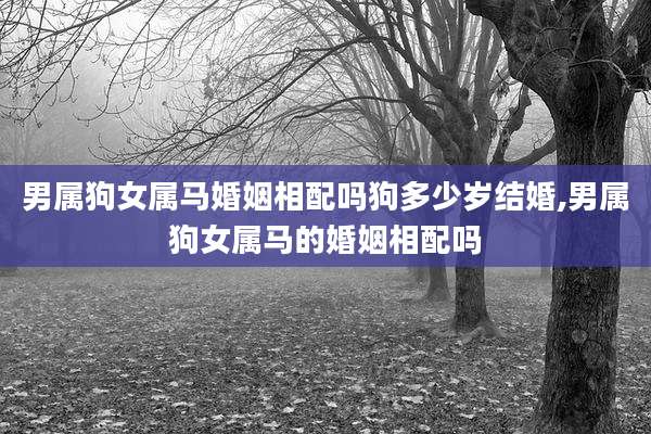 男属狗女属马婚姻相配吗狗多少岁结婚,男属狗女属马的婚姻相配吗