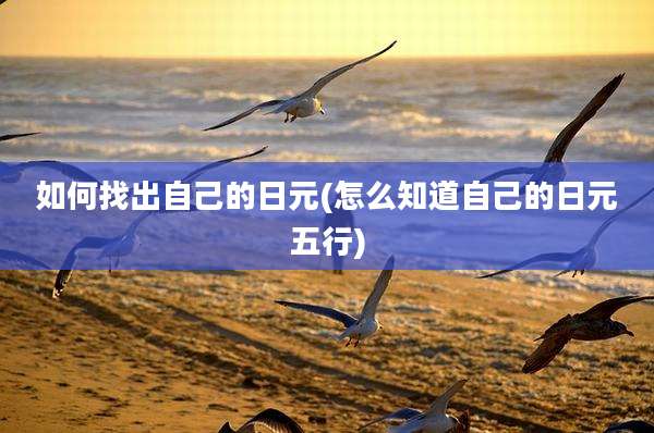 如何找出自己的日元(怎么知道自己的日元五行)