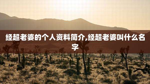 经超老婆的个人资料简介,经超老婆叫什么名字