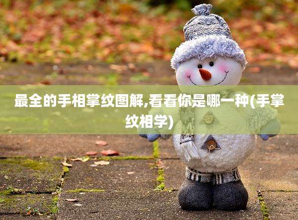 最全的手相掌纹图解,看看你是哪一种(手掌纹相学)