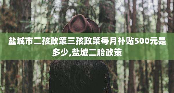 盐城市二孩政策三孩政策每月补贴500元是多少,盐城二胎政策