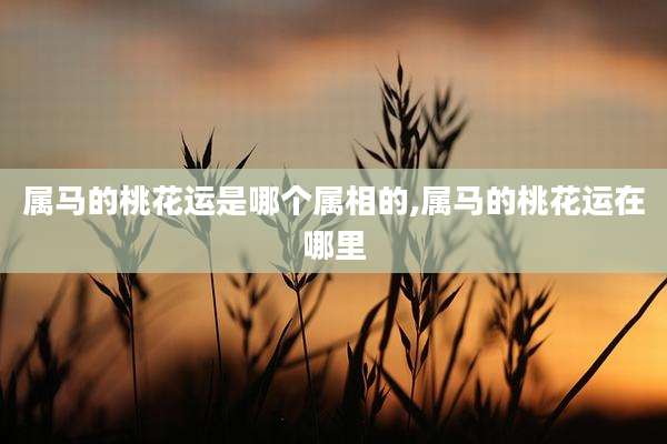 属马的桃花运是哪个属相的,属马的桃花运在哪里