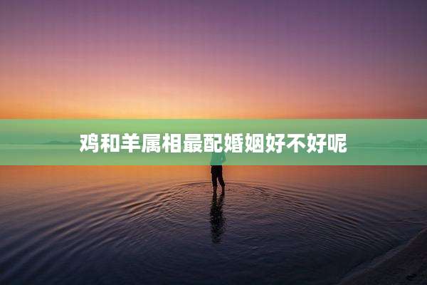 鸡和羊属相最配婚姻好不好呢
