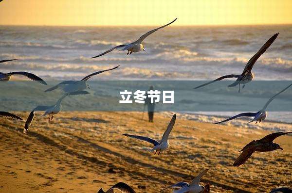 立冬节日