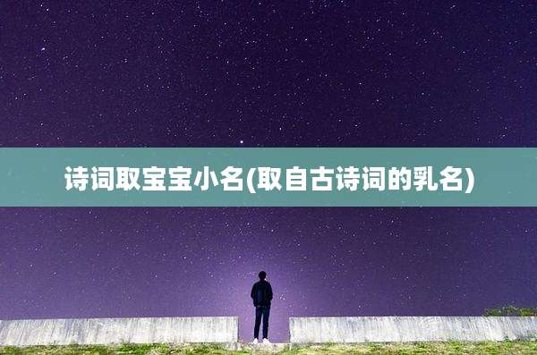 诗词取宝宝小名(取自古诗词的乳名)