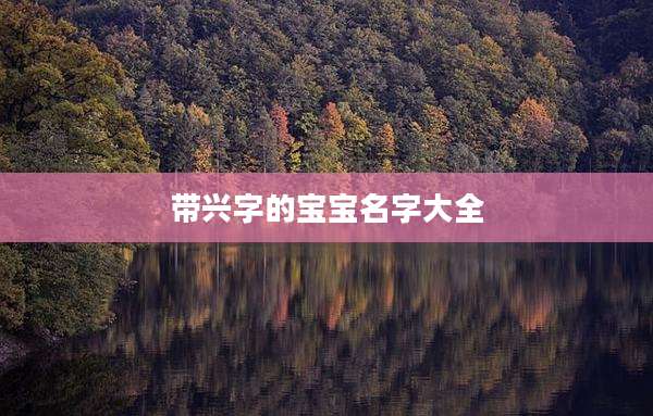 带兴字的宝宝名字大全