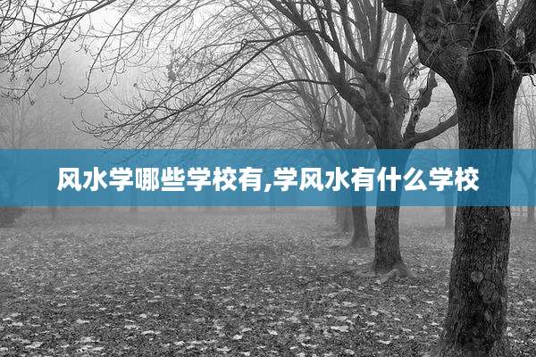 风水学哪些学校有,学风水有什么学校