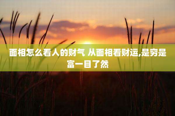 面相怎么看人的财气 从面相看财运,是穷是富一目了然