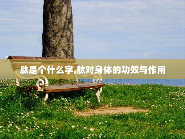 肽是个什么字,肽对身体的功效与作用
