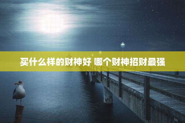 买什么样的财神好 哪个财神招财最强
