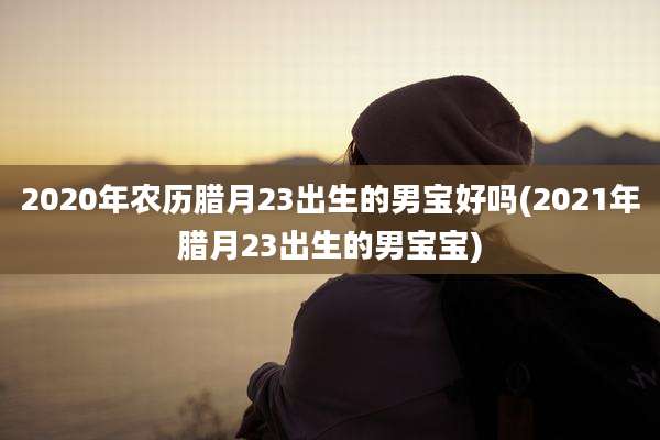 2020年农历腊月23出生的男宝好吗(2021年腊月23出生的男宝宝)