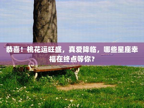 恭喜！桃花运旺盛，真爱降临，哪些星座幸福在终点等你？